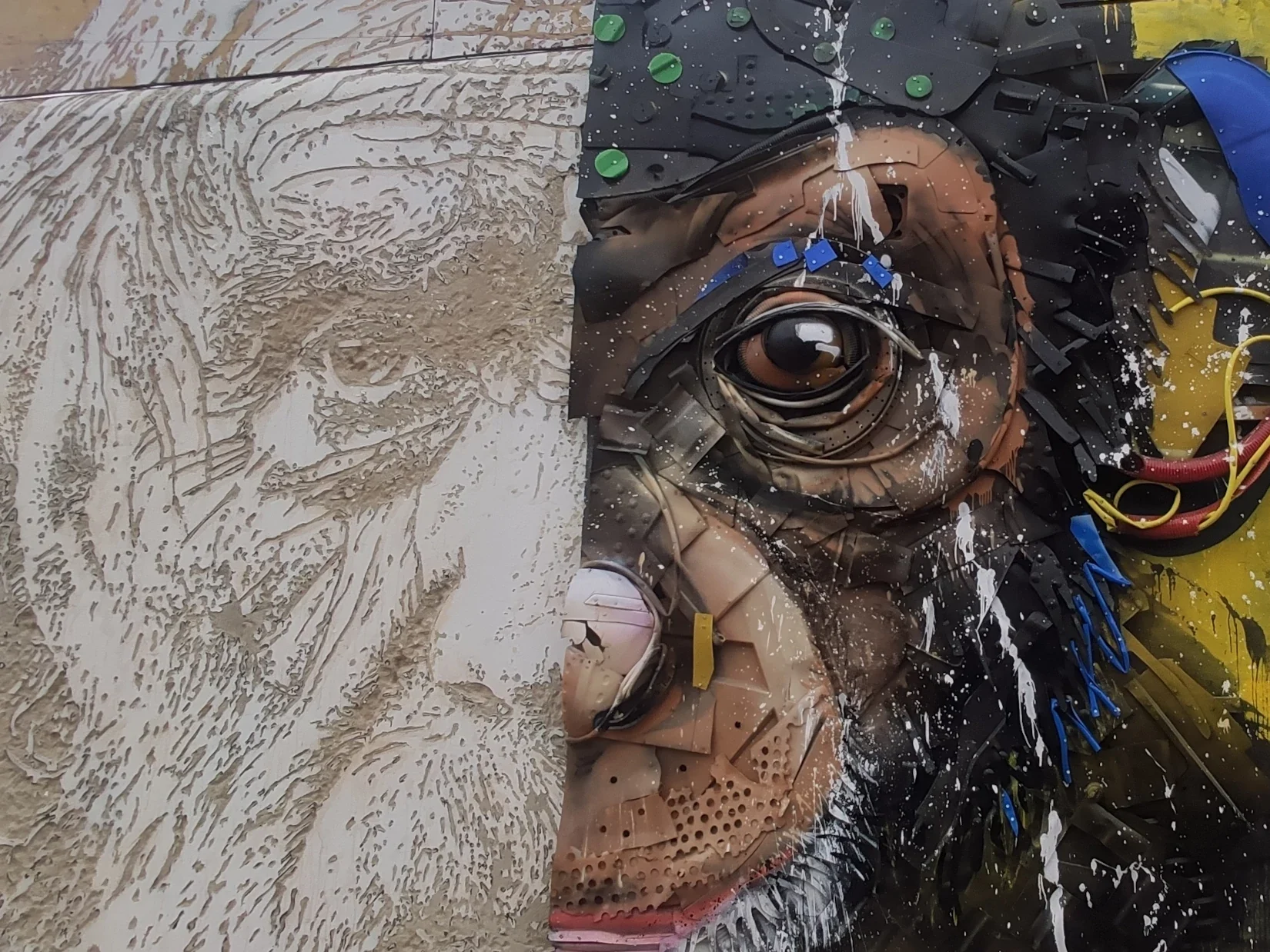 Bordalo II & Vhils artwork